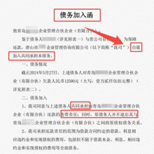 陌生人“自愿还债”如何变强制执行？起底网贷清收隐秘操作链！